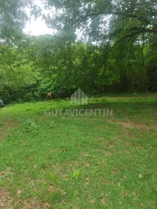 Fazenda/Sítio com 2 Quartos à venda, 13m² no Vila Santa Maria, Piratininga