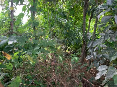 Lote/Terreno à venda, 300m² no Setor Habitacional Jardim Botânico, Brasília