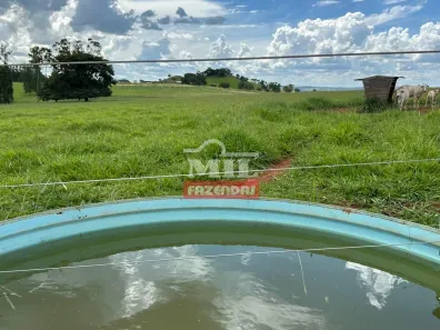 Fazenda/Sítio à venda, 20000m² no , Terezópolis de Goiás