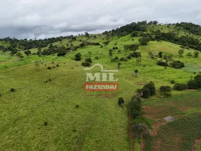 Fazenda/Sítio à venda, 20000m² no Vila Mutirão, Inhumas