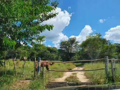 Lote/Terreno à venda, 20000m² no Zona Rural, Fortuna de Minas