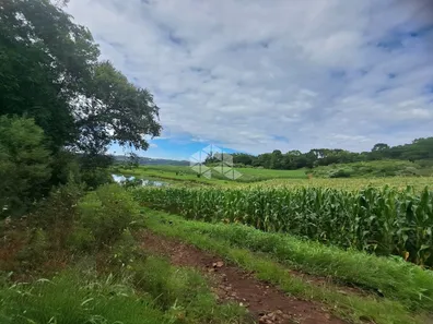 Fazenda/Sítio com 1 Quarto à venda, 208m² no Área Rural de Farroupilha, Farroupilha