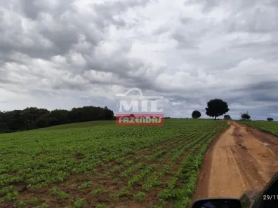 Fazenda/Sítio à venda, 330000m² no , Silvânia