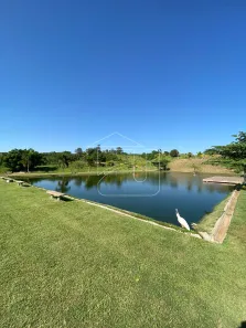 Fazenda/Sítio com 3 Quartos à venda, 100000m² no , Garça