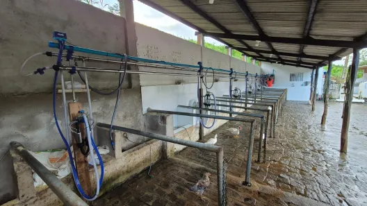 Fazenda/Sítio com 3 Quartos à venda, 820000m² no , Serraria