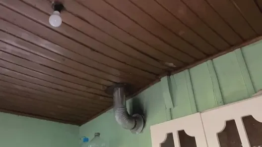 Fazenda/Sítio com 2 Quartos à venda, 90m² no , Caraá