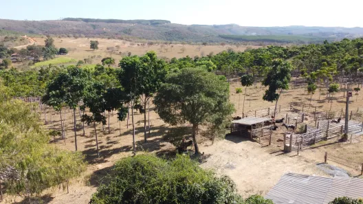 Lote/Terreno à venda, 20000m² no , Cordisburgo
