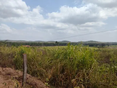 Fazenda/Sítio com 3 Quartos à venda, 800m² no Zona Rural, Coroatá
