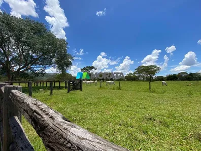 Fazenda/Sítio com 1 Quarto à venda, 1300m² no , Buritis