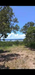 Fazenda/Sítio à venda, 2878m² no Niquelândia, Niquelândia