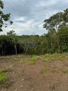 Fazenda/Sítio com 1 Quarto à venda, 3000m² no , Gameleira de Goiás