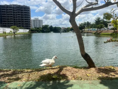 Apartamento com 2 Quartos para alugar, 56m² no Centro, Lauro de Freitas