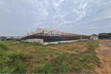 para alugar, 2000m² no , Artur Nogueira