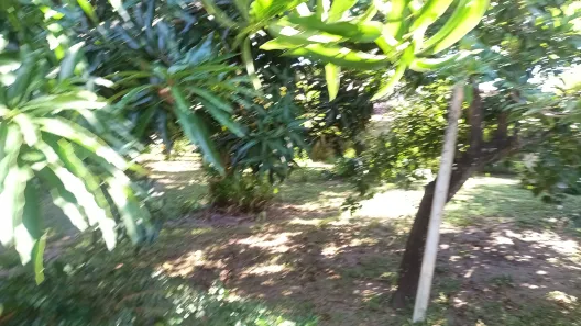 Casa com 5 Quartos à venda, 200m² no , Vera Cruz