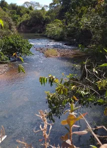 Fazenda/Sítio à venda no , Buritis