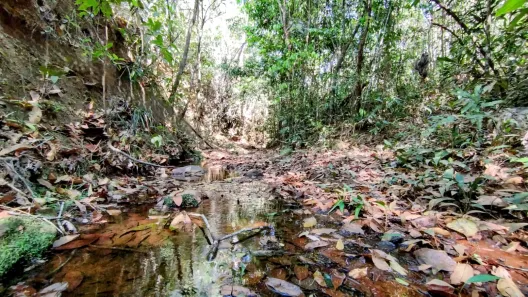 Fazenda/Sítio à venda, 20000m² no , Brasília