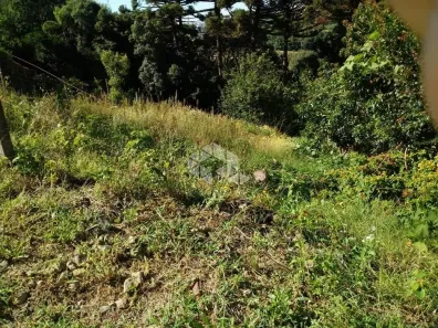 Lote/Terreno à venda, 611m² no São Roque, Bento Gonçalves
