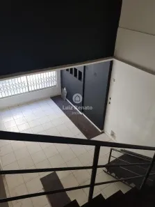 Casa com 4 Quartos para alugar, 232m² no Serra, Belo Horizonte