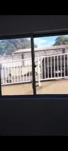 Apartamento com 3 Quartos à venda, 57m² no Alvorada, Manaus