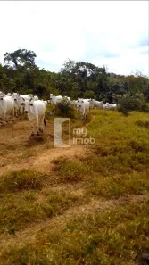 Fazenda/Sítio com 3 Quartos à venda, 484000m² no , Leopoldo de Bulhões