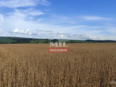 Fazenda/Sítio à venda, 20000m² no , Gameleira de Goiás