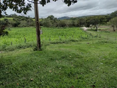 Fazenda/Sítio à venda, 20000m² no , Fortuna de Minas