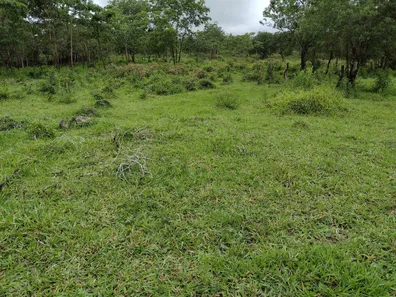 Lote/Terreno à venda, 20000m² no , Fortuna de Minas