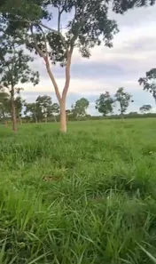 Fazenda/Sítio à venda no , Buritis