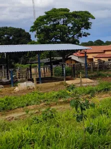 Fazenda/Sítio à venda no , Buritis