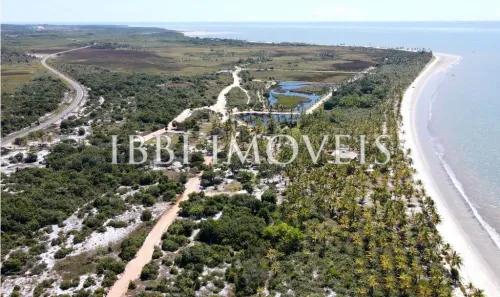 Lote/Terreno à venda, 5215991m² no Mogiquiçaba, Belmonte