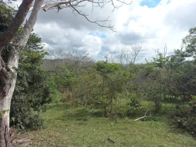 Lote/Terreno à venda, 20000m² no Zona Rural, Paraopeba