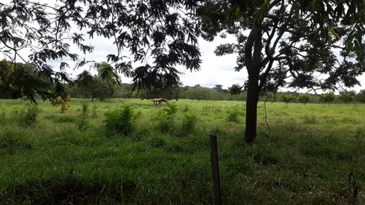 Lote/Terreno à venda, 20000m² no , Araçaí