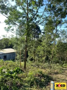 Lote/Terreno à venda, 410m² no Nova Petrópolis, Nova Petrópolis