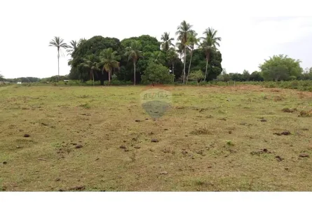 Fazenda/Sítio à venda, 1400000m² no Centro, Caravelas