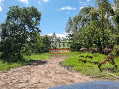 Fazenda/Sítio à venda, 484000000m² no , Jaraguá