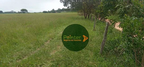 Fazenda/Sítio à venda, 242000m² no , Itaberaí