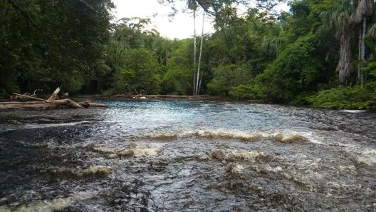 Lote/Terreno à venda, 200000m² no , Presidente Figueiredo