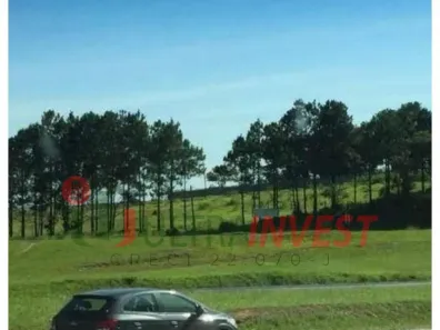 Lote/Terreno para venda ou aluguel, 1m² no Vila Artura, Sorocaba