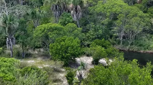 Lote/Terreno à venda, 1010000m² no , Santo Amaro do Maranhão