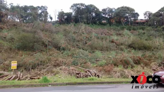 Lote/Terreno à venda, 480m² no Nova Petrópolis, Nova Petrópolis