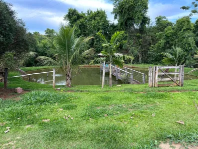 Fazenda/Sítio à venda, 7500000m² no Trevo do José Rosário, Leopoldo de Bulhões