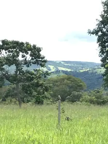 Fazenda/Sítio à venda, 20000m² no ZONA RURAL, Bonfinópolis