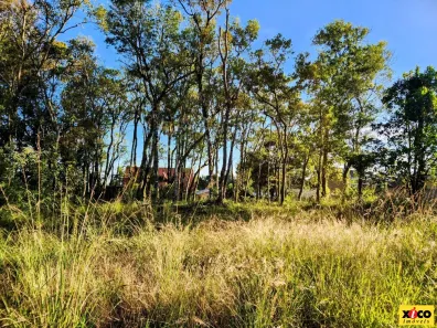 Lote/Terreno à venda, 456m² no Nova Petrópolis, Nova Petrópolis