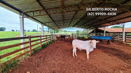 Fazenda/Sítio à venda, 968000m² no Área Rural, Goianira