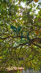Lote/Terreno à venda, 450m² no Candeias, Jaboatão dos Guararapes