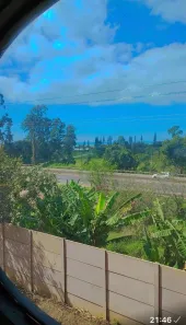 Galpão/Depósito/Armazém para venda ou aluguel, 700m² no , Ilhota