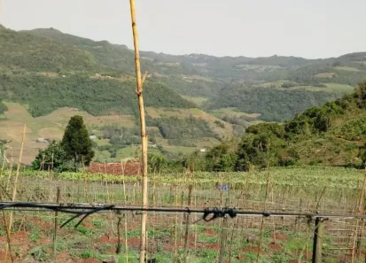 Lote/Terreno à venda, 120000m² no Forqueta Baixa, Vale Real