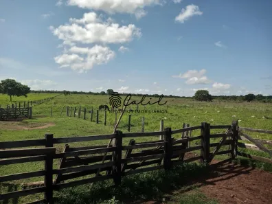 Fazenda/Sítio com 1 Quarto à venda, 3115800m² no Zona Rural, Miracema do Tocantins