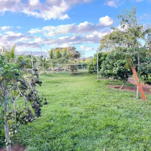 Fazenda/Sítio com 3 Quartos à venda, 3000m² no , Nerópolis