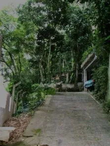 Fazenda/Sítio com 4 Quartos à venda, 2000m² no São Conrado, Rio de Janeiro